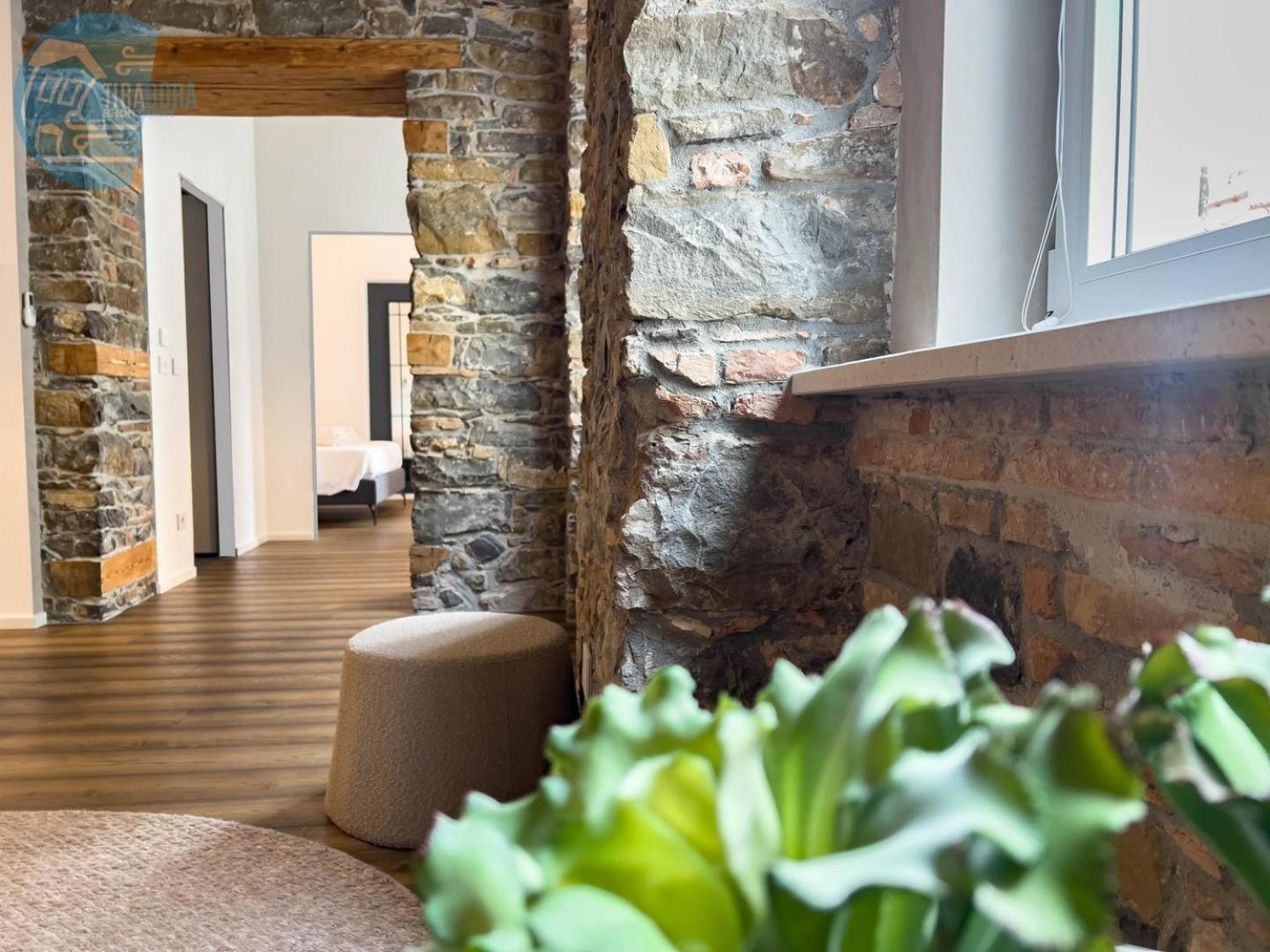 San Nicolo 14 Tirabora Short Rent Apartment Trieste Luaran gambar